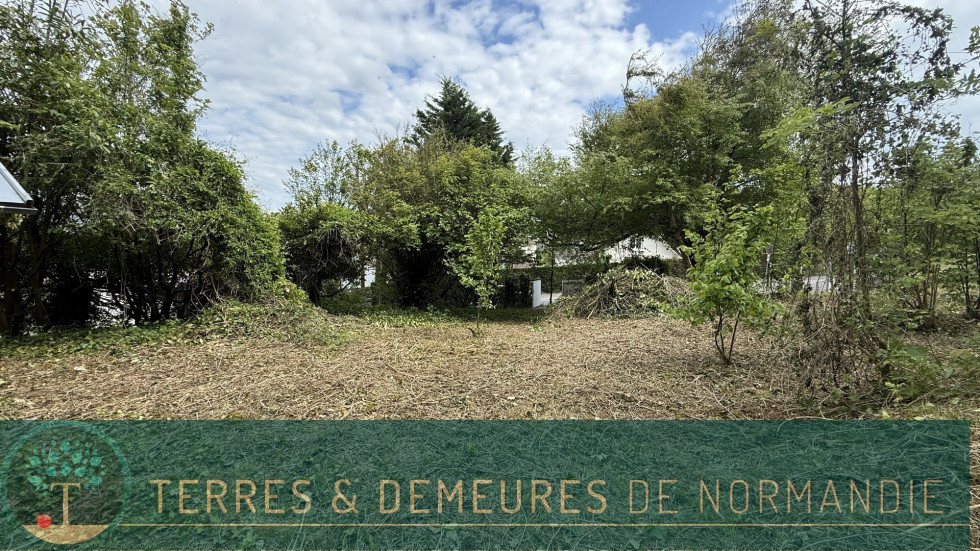 vente Terrain constructible Petit-caux - Photo 4