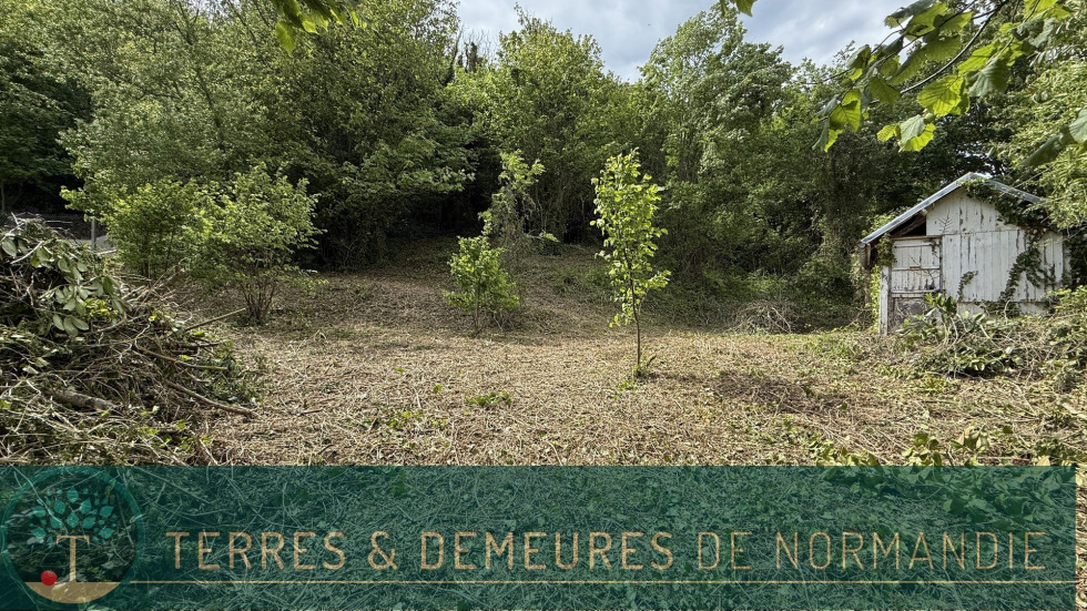 vente Terrain constructible Petit-caux - Photo 5