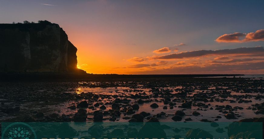 vente Maison rénovée Sassetot Le Mauconduit