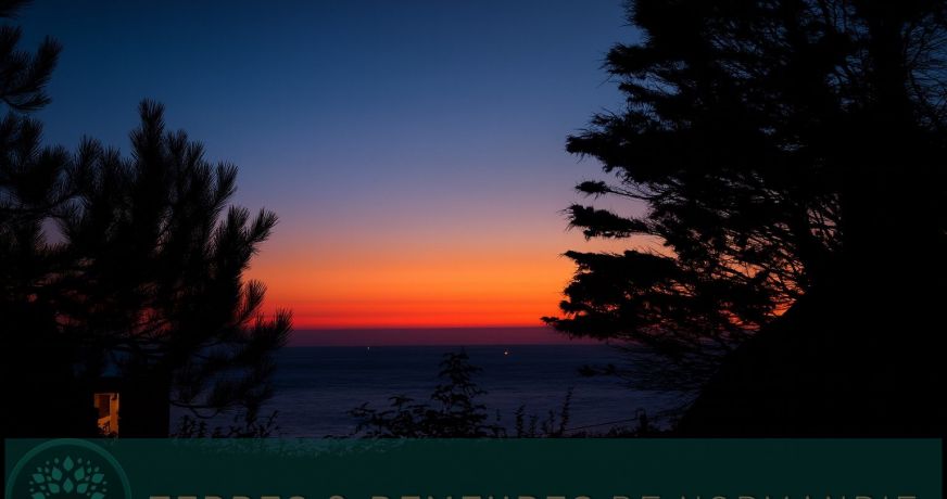 vente Maison rénovée Sassetot Le Mauconduit