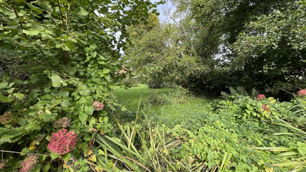 vente Maison Beauchamps - Photo 3