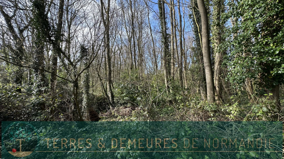 vente Terrain constructible Varengeville Sur Mer - Photo 2