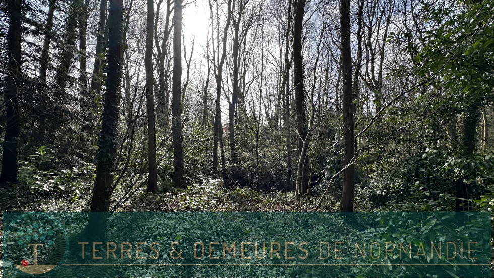 vente Terrain constructible Varengeville Sur Mer - Photo 4