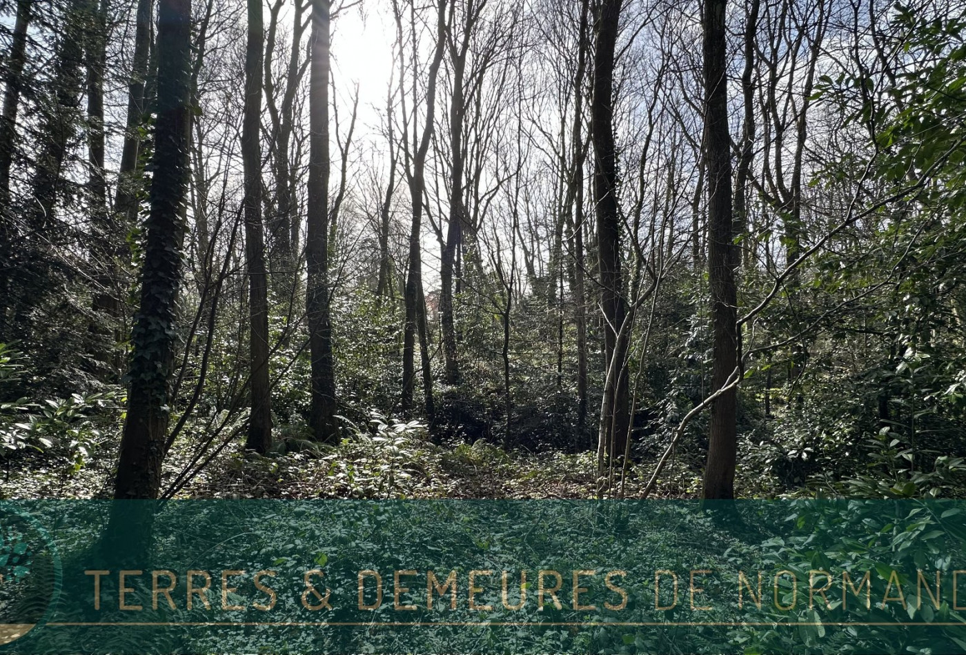 vente Terrain constructible Varengeville Sur Mer - Photo 4