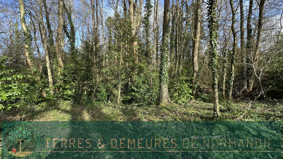 vente Terrain constructible Varengeville Sur Mer - Photo 5