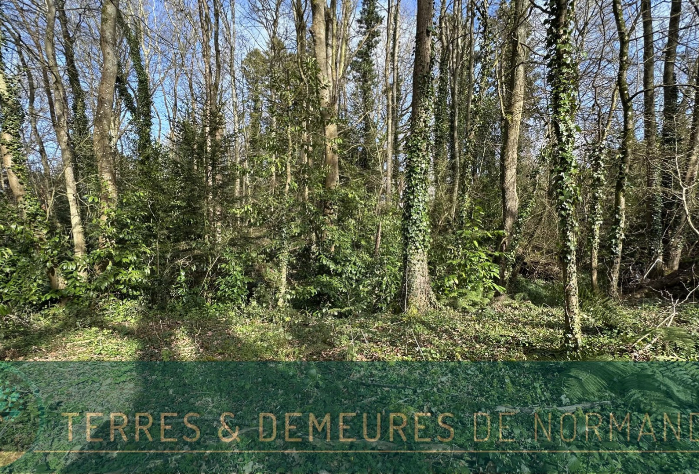 vente Terrain constructible Varengeville Sur Mer - Photo 5