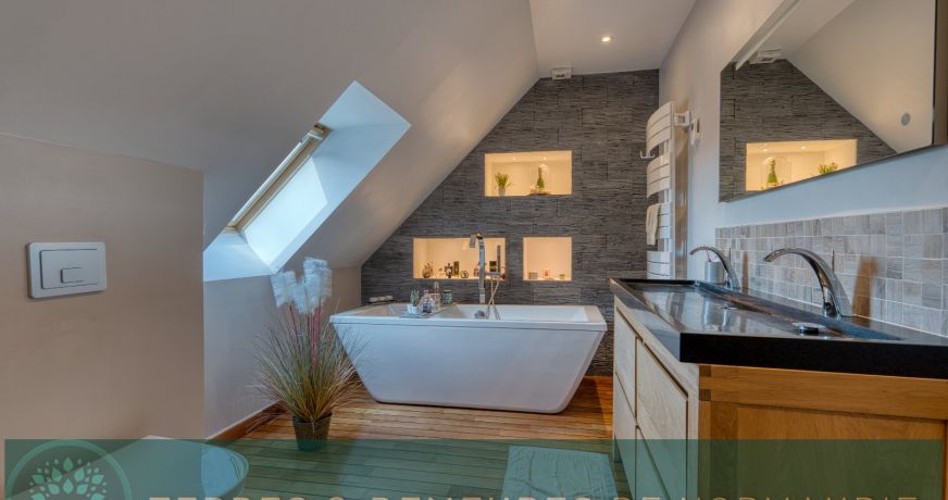 vente Maison Saint Ouen Du Breuil