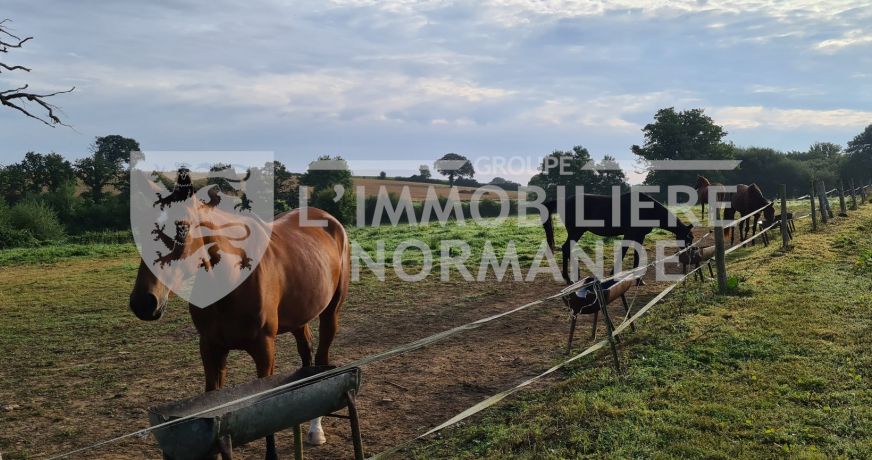 vente Maison de maître Sees