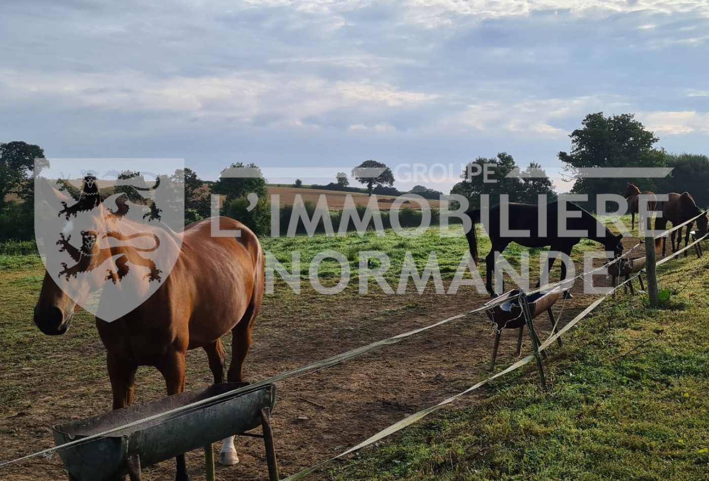 vente Maison de maître Sees - Photo 2