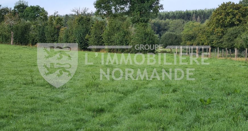 vente Maison de maître Sees