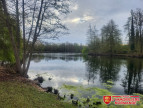vente Etang Fontaine Sous Jouy