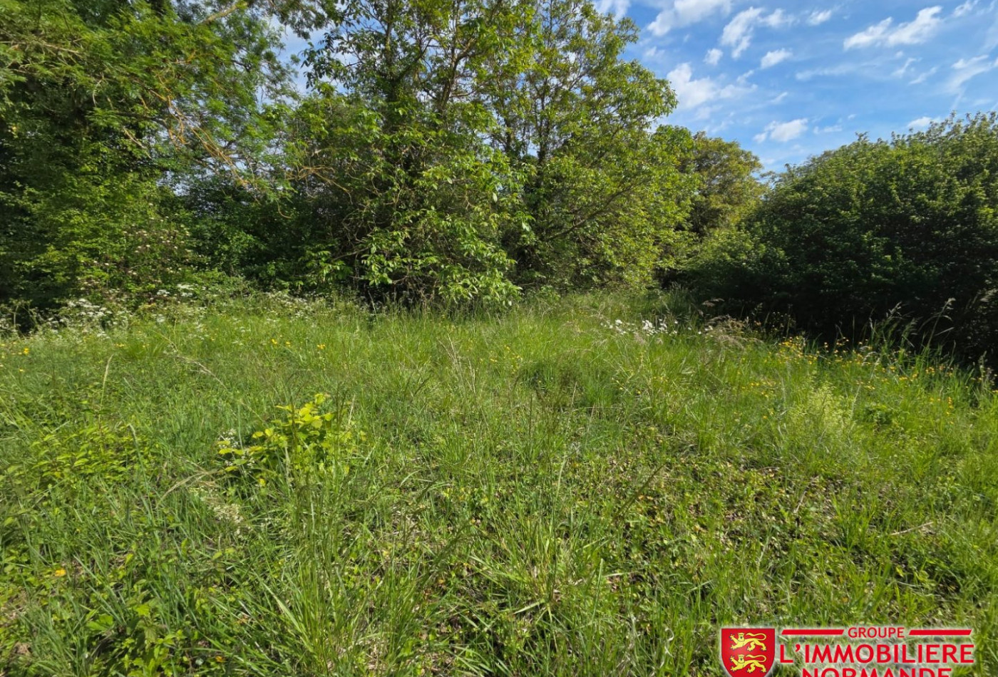 vente Terrain Poses - Photo 6