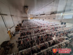 location Entrepots et bureaux Gravigny