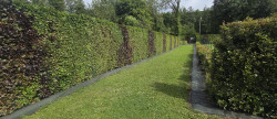 vente Terrain constructible Romilly Sur Andelle