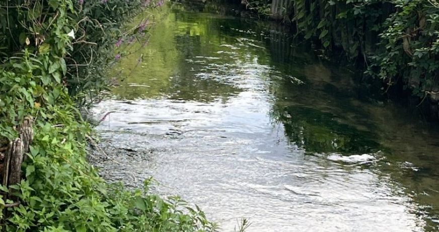 vente Duplex Pacy Sur Eure