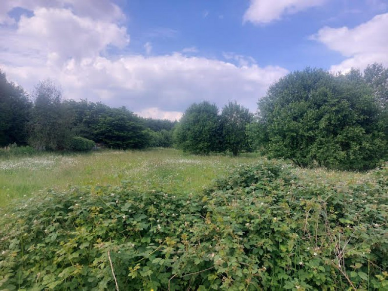 vente Terrain constructible Lyons La Foret - Photo 1