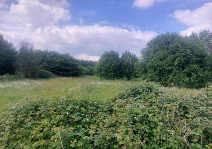 vente Terrain constructible Lyons La Foret