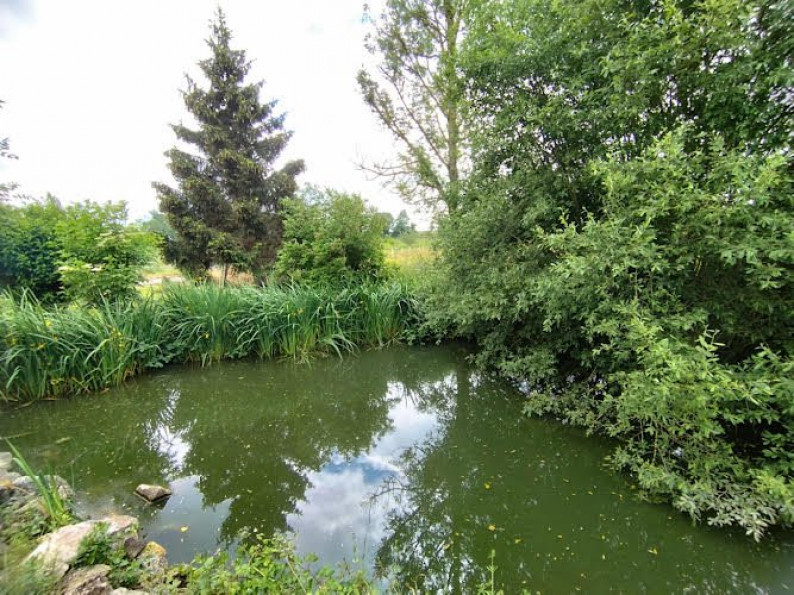 vente Maison Forges Les Eaux - Photo 9