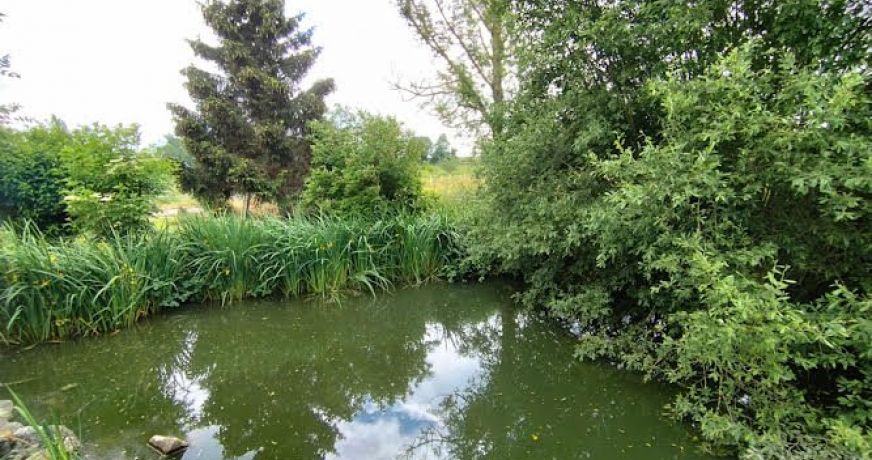 vente Maison Forges Les Eaux