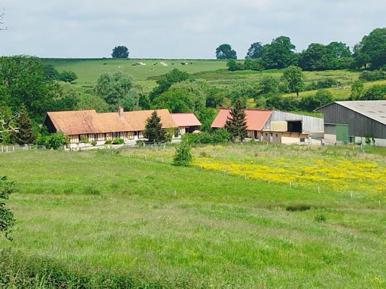 vente Maison Forges Les Eaux - Photo 8