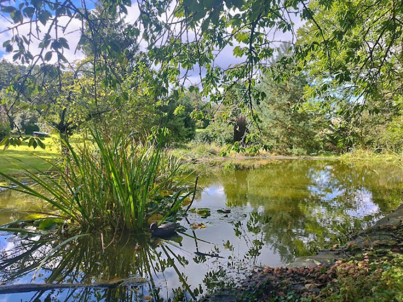 vente Maison Forges Les Eaux - Photo 9