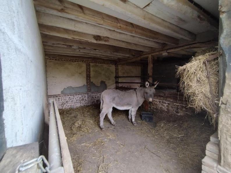 vente Grange Quincampoix - Photo 3