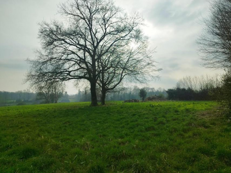 vente Maison Buchy - Photo 3