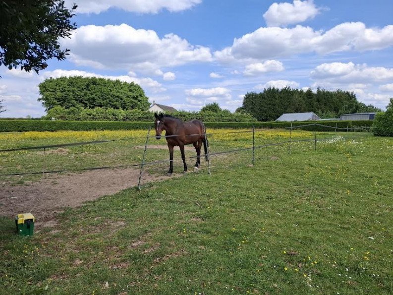 vente Maison Lyons La Foret - Photo 10