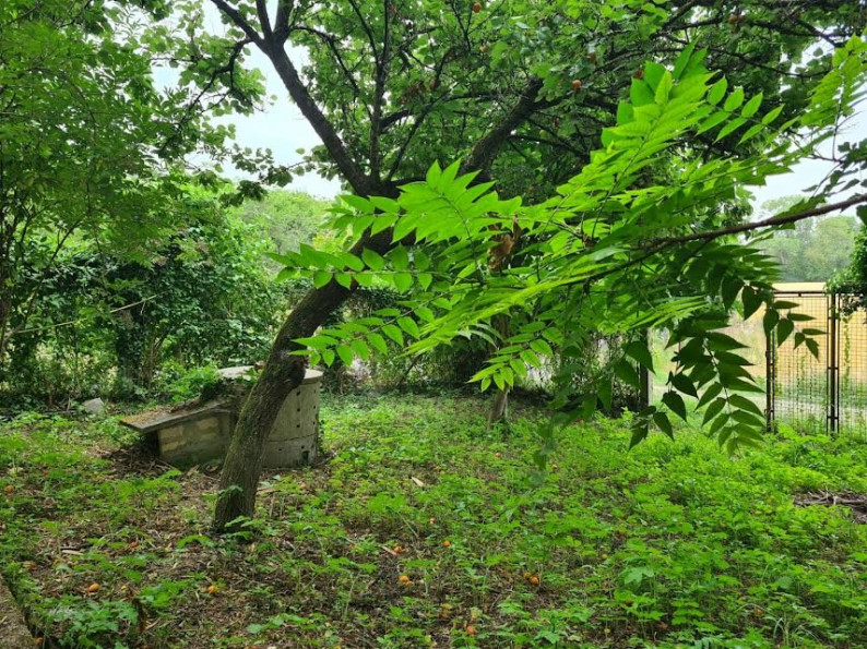 vente Maison Bonnieres Sur Seine - Photo 10