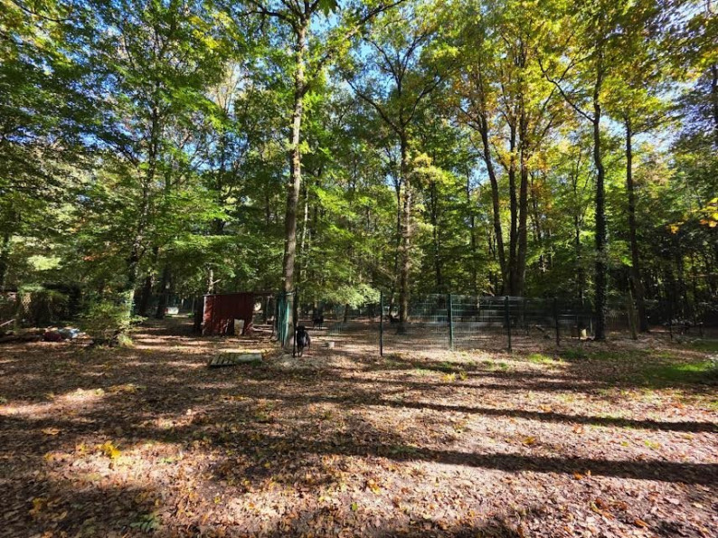 vente Maison Rambouillet - Photo 10