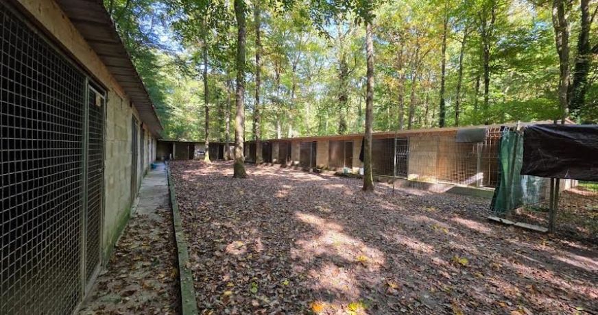 vente Maison Rambouillet