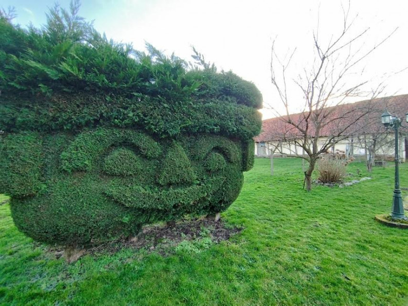 vente Maison Neufchatel En Bray - Photo 10