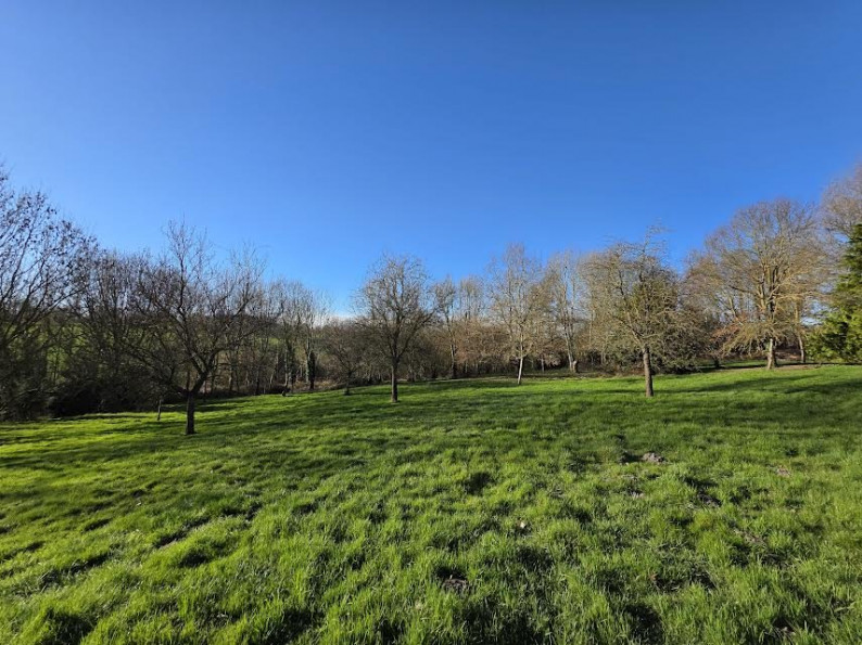 vente Maison Neufchatel En Bray - Photo 10