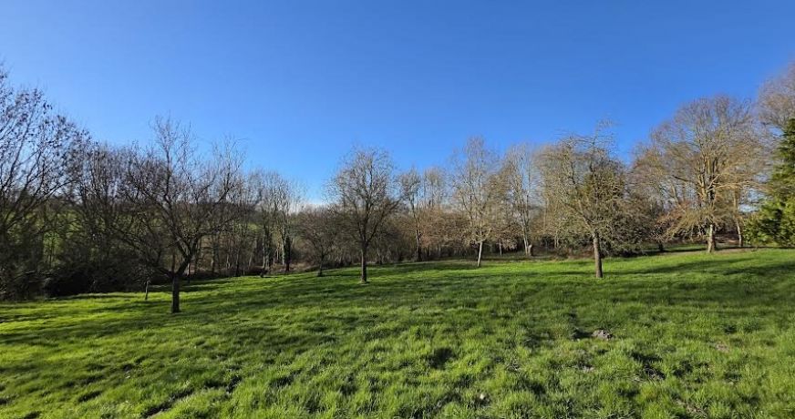 vente Maison Neufchatel En Bray