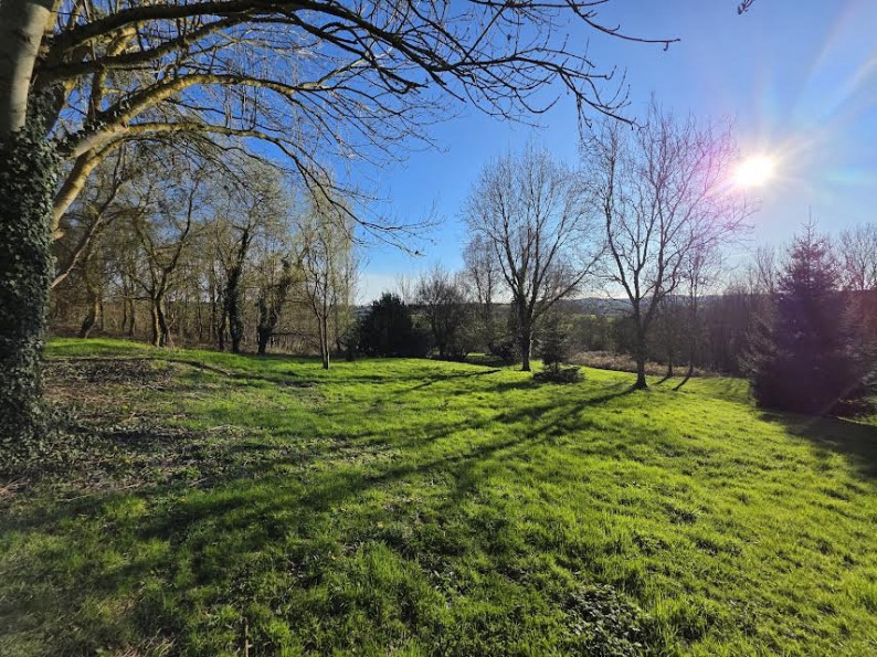 vente Maison Neufchatel En Bray - Photo 9