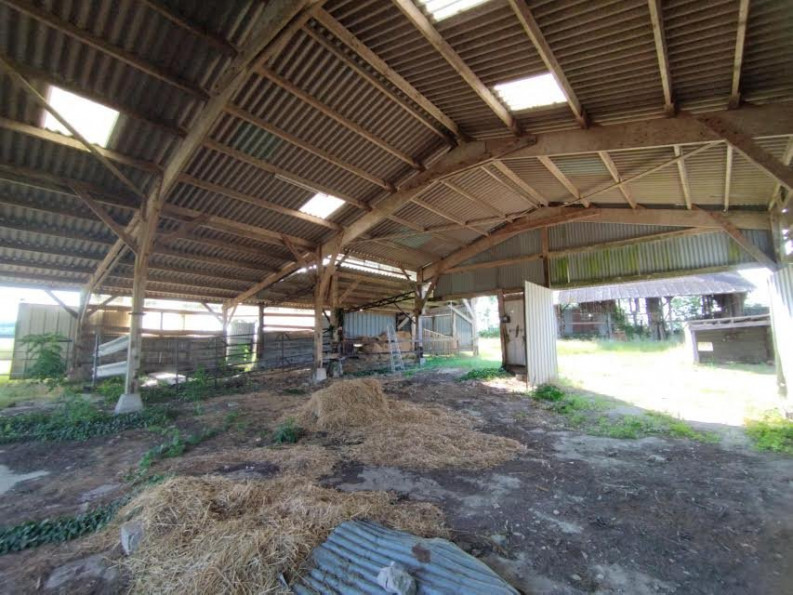 vente Maison Neufchatel En Bray - Photo 5
