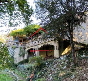 A vendre Allegre | Réf 300071491 - Agence vigne
