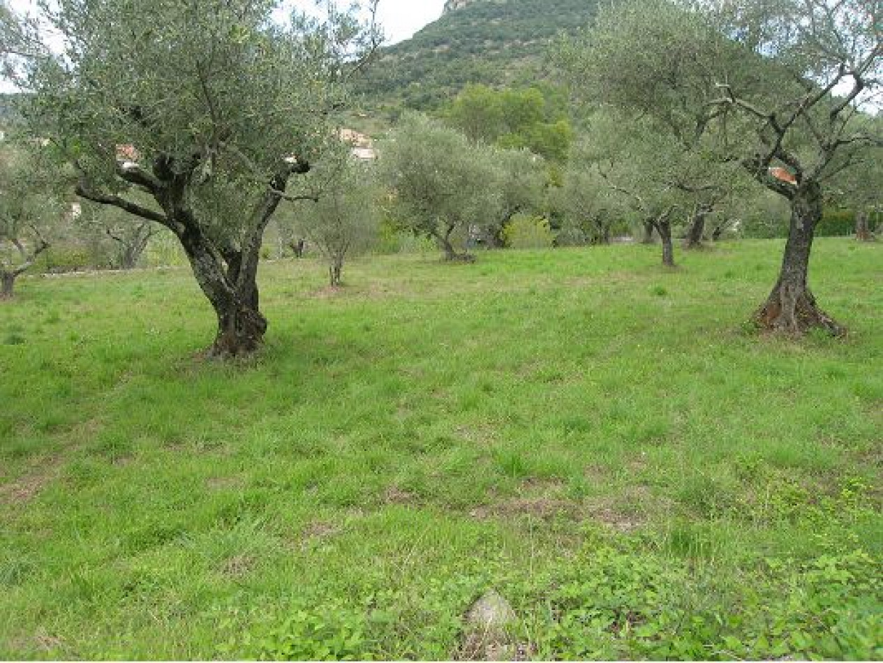 vente Terrain constructible Saint Bres - Photo 1