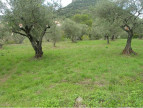 vente Terrain constructible Saint Bres