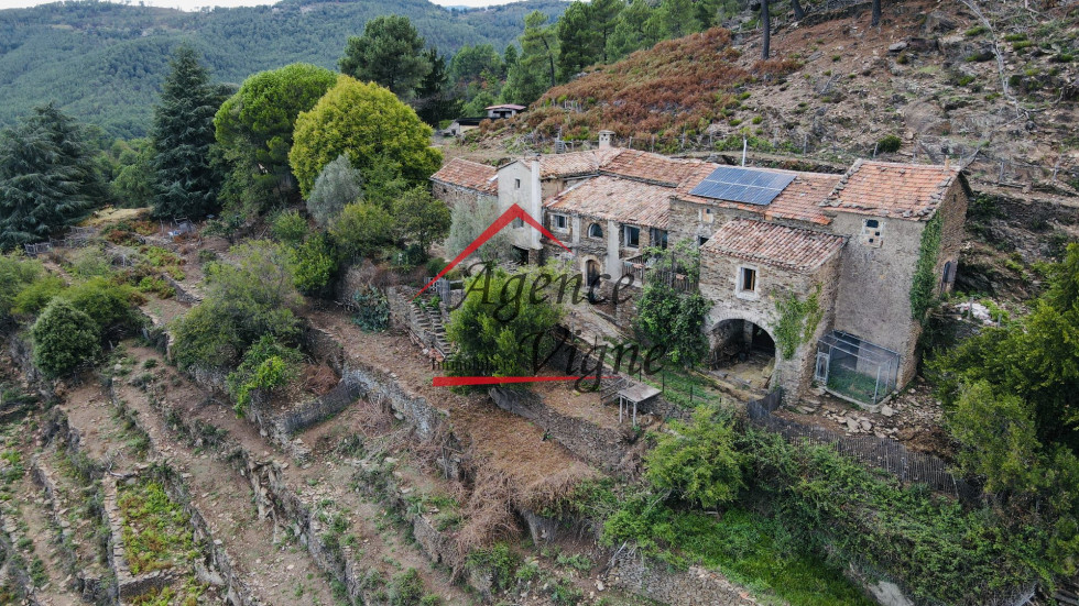 vente Mas Portes - Photo 1