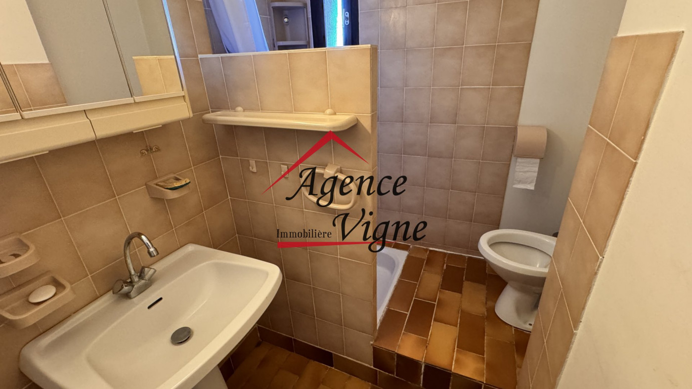 vente Villa Saint Sauveur De Cruzieres - Photo 10