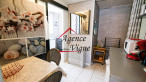 vente Maison individuelle Saint Florent Sur Auzonnet