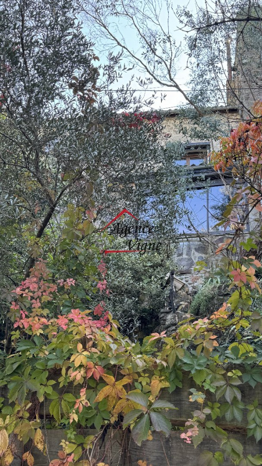 vente Maison de hameau Saint Florent Sur Auzonnet - Photo 5