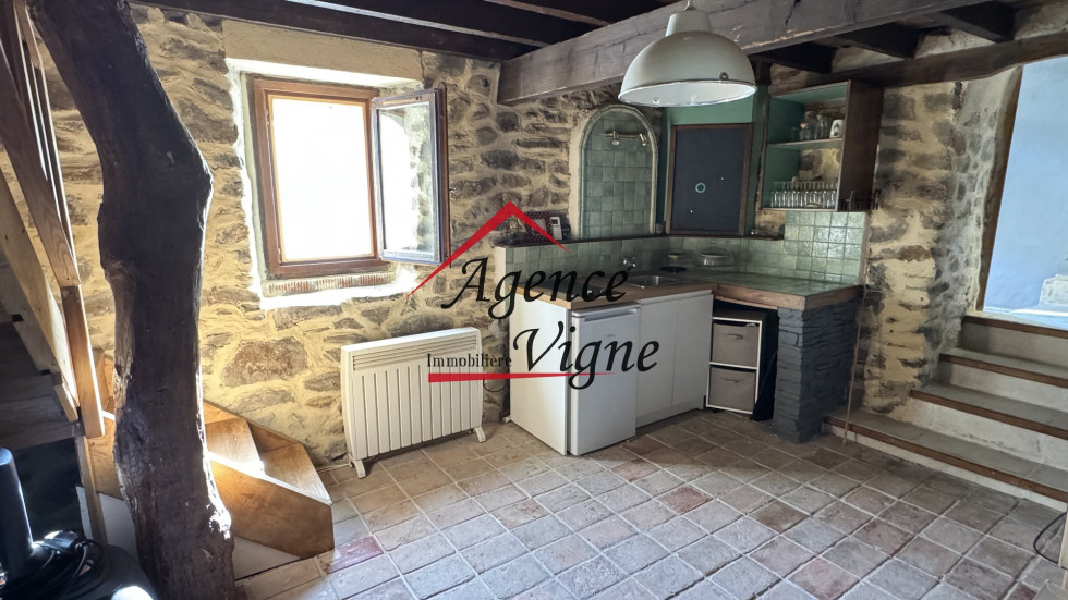 vente Maison de hameau Saint Florent Sur Auzonnet - Photo 9