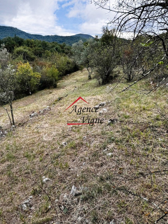 vente Terrain constructible Meyrannes - Photo 2