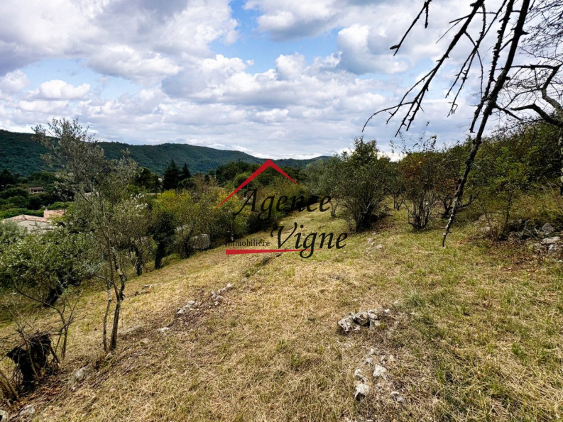 vente Terrain constructible Meyrannes - Photo 3