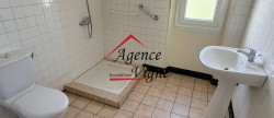 vente Maison individuelle Saint Julien Les Rosiers
