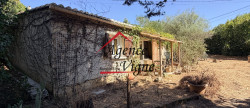 vente Maison Saint Ambroix
