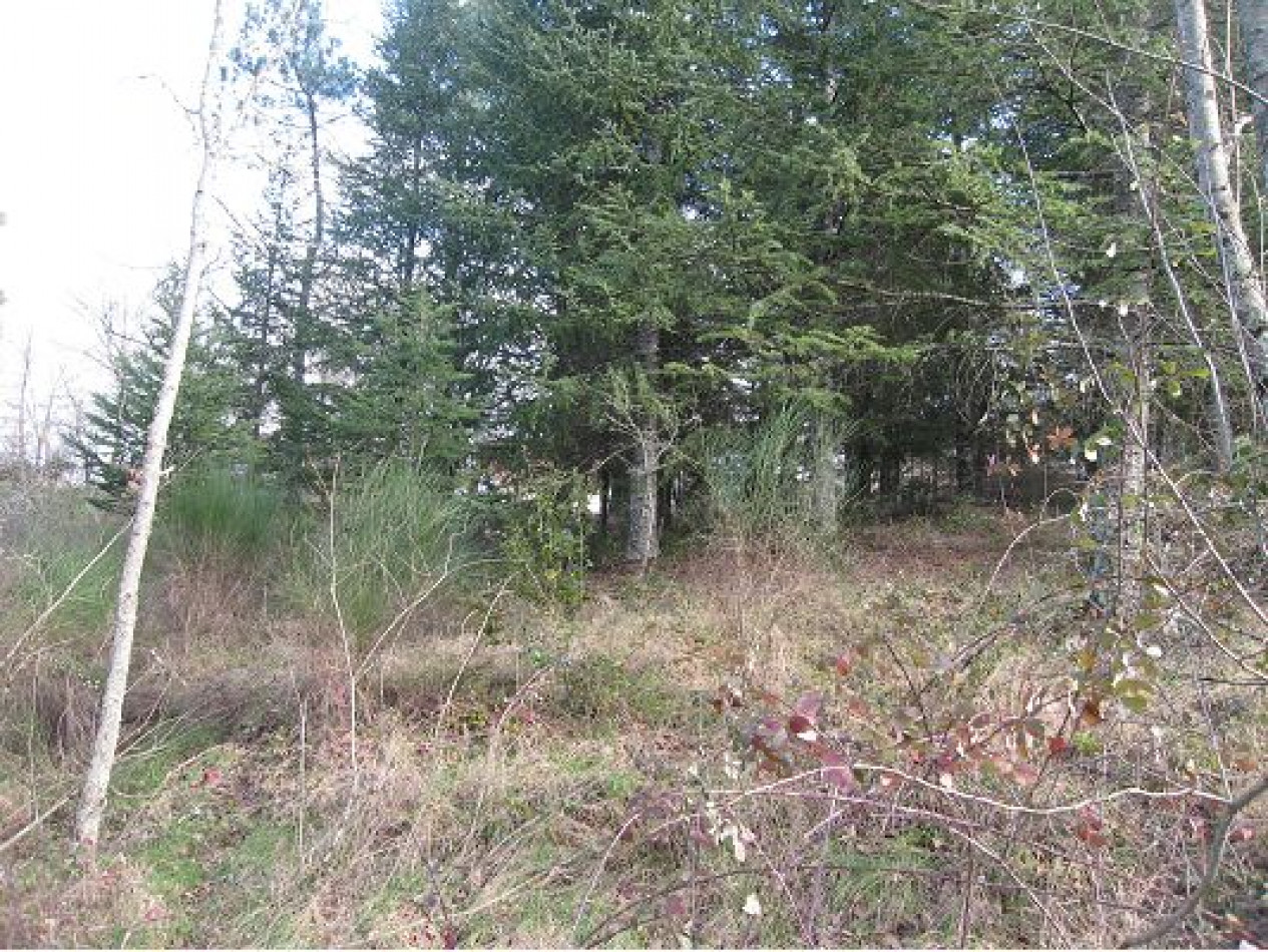 vente Terrain constructible Gagnieres - Photo 2