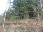 vente Terrain constructible Gagnieres